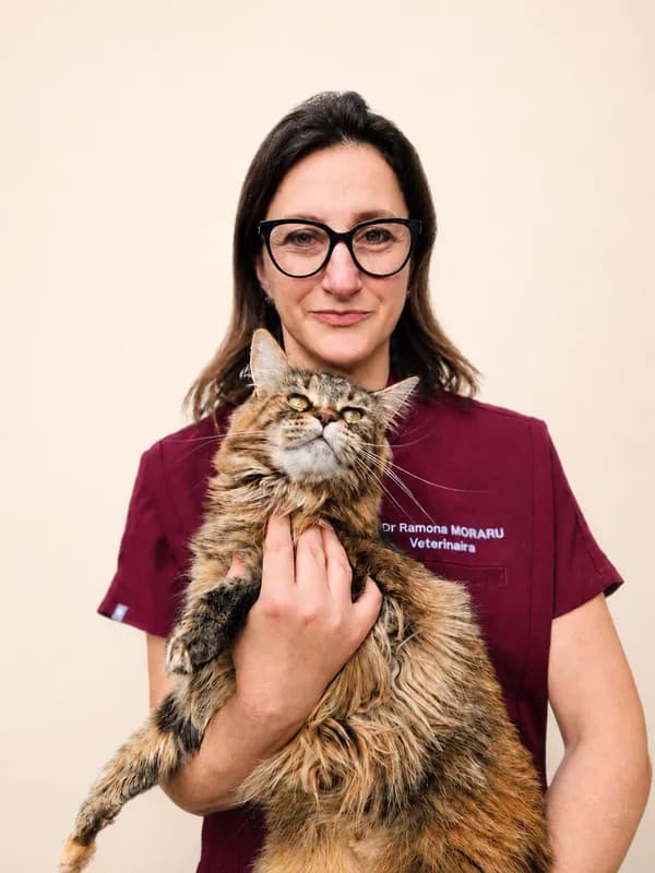 Dr Ramona Moraru, vétérinaire à la clinique PhoenixVet
